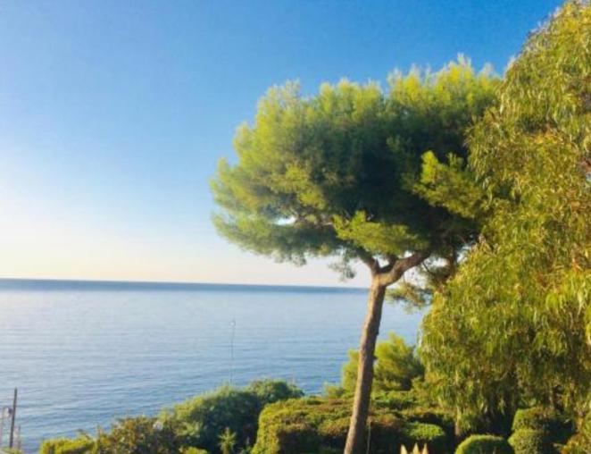 Villa Cannes Directly On The Sea Exterior foto